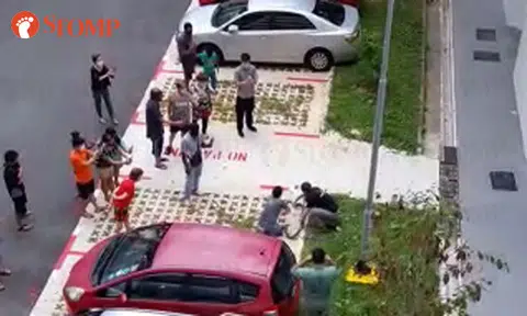 Acres reminds public to keep safe distance after crowd gathers to watch python rescue at Hougang