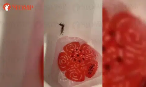 Man loses urge to pee after seeing centipede in urinal at Lau Pa Sat toilet