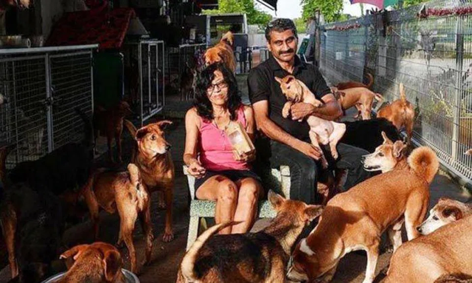 Photos: Animal Lovers League