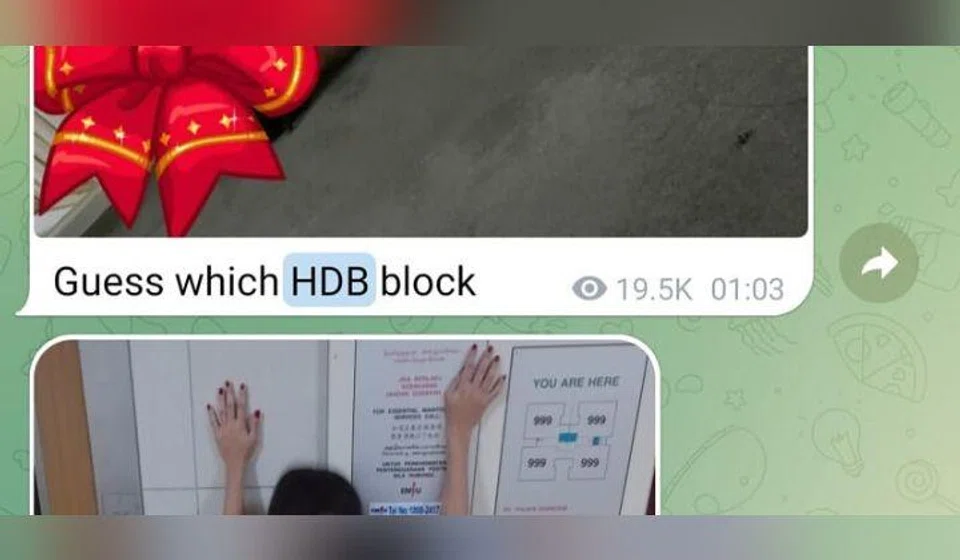 These videos purportedly showed several individuals engaging in sexual activities at HDB estates across Singapore.