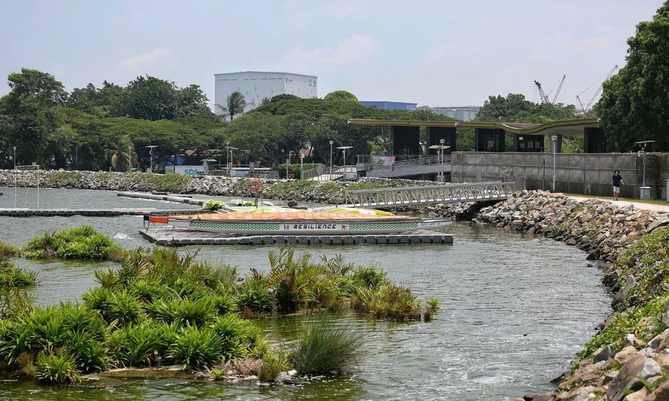 picture of crocodile sighting at pandan reservoir