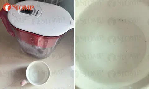 Black particles in filtered water from Novita pitcher: Is it safe to drink?
