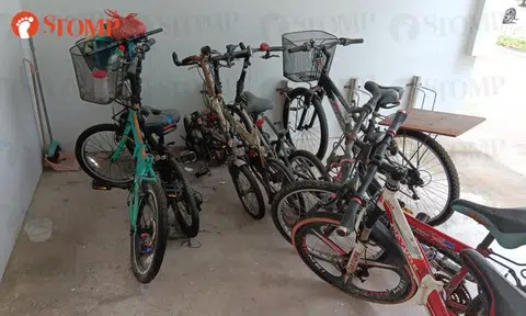 Town council to tag and remove unclaimed bicycles in estate-wide exercise in Bukit Batok
