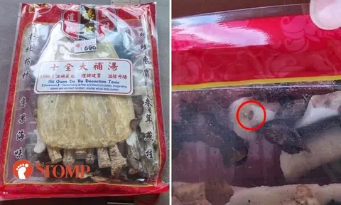 Customer found 'creepy crawlies' in herbs as pack not stored in fridge, says Chinatown medical hall