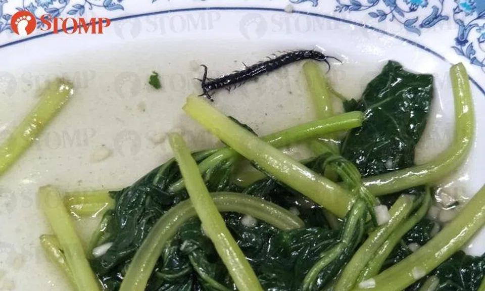 Diner wants to vomit after 'very, very terrible experience' with centipede at Chinatown stall