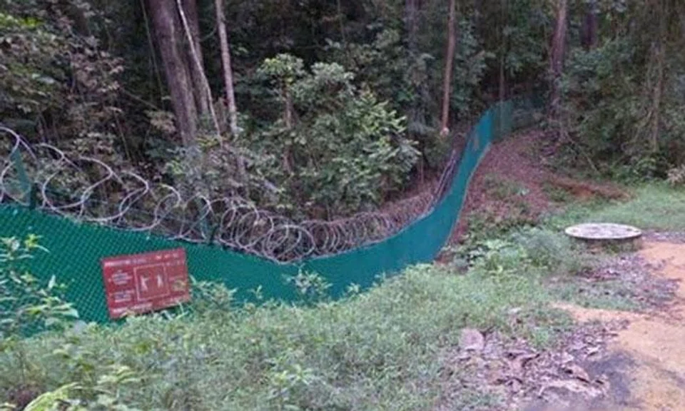 The incident happened within a forested area of the Central Catchment Nature Reserve.