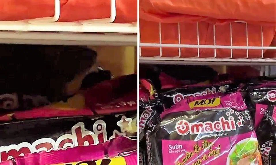 Mr Melvin Lee said at least one packet of instant noodles had been bitten open.