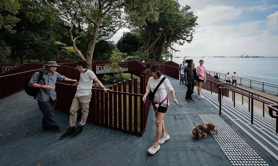 The elevated boardwalk at the new Keppel Coastal Trail at Labrador Nature Park.