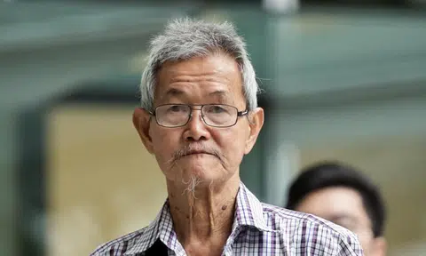 $500 fine for man who tampered with bird trap, disrupting NParks operation to manage crow population