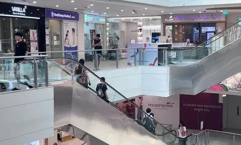 FCT heartland mall revamps include FairPrice Finest at Hougang Mall, kids concepts at NEX