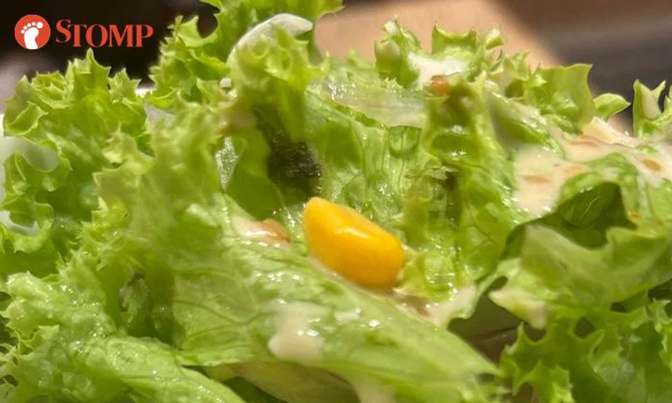 A diner noticed mould and spores in her salad. 