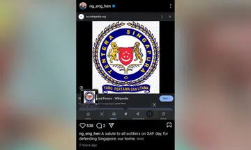 Ng Eng Hen SAF crest Wikipedia retirement