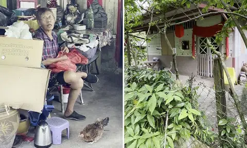 Owner of Singapore's last kampung earns just $500 monthly from rent -- but she won't ask for more