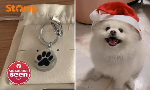 woman looking for lost keychain with dog’s ashes