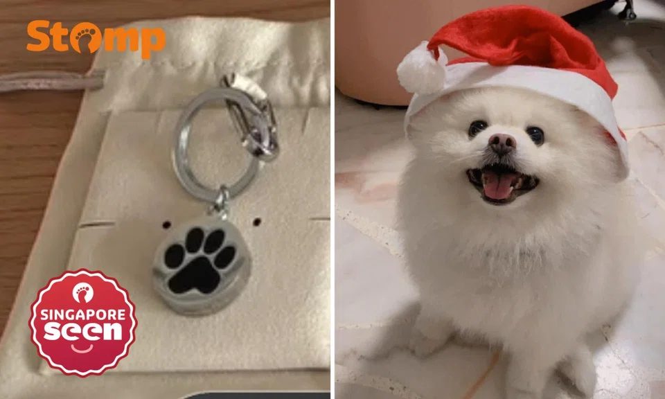 woman looking for lost keychain with dog’s ashes