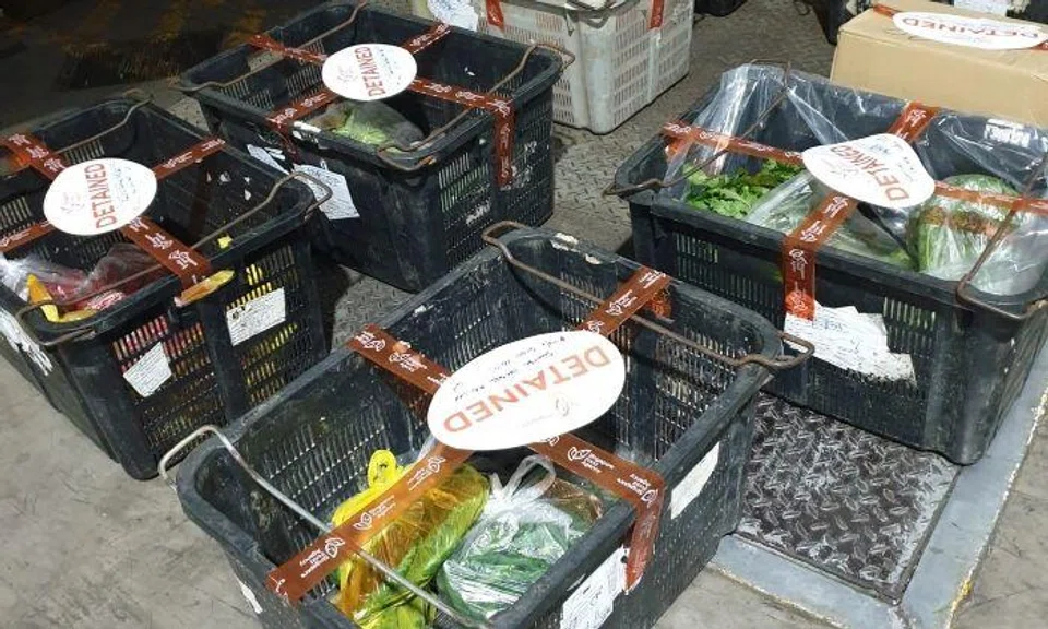 Importer fined $5,600 for illegally importing food products, unauthorised disposal of detained vegetables