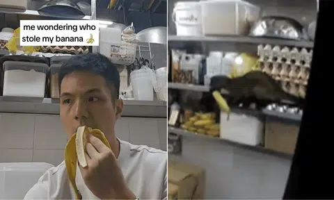 cat-like creature stealing banana