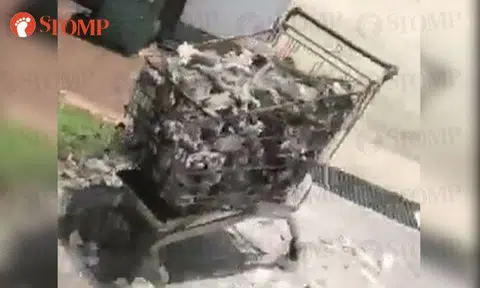 Which smart alec thought it was a good idea to use supermarket trolley for burning offerings?