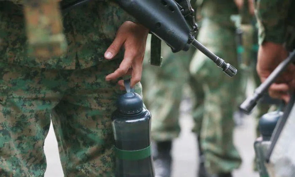 SAF regular dies after getting hit by falling branch in Brunei