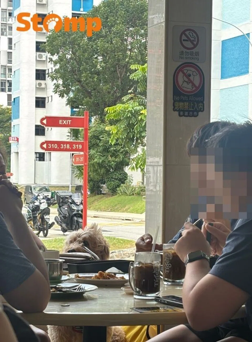 Dog beneath ‘No Pets’ sign at Hougang coffee shop makes Stomper ponder ‘funny contradiction’