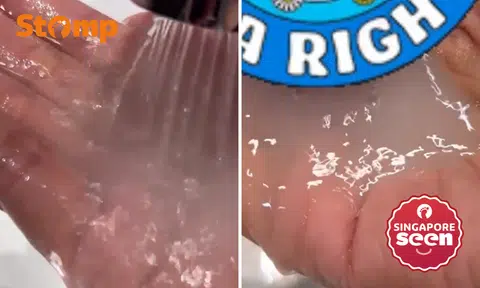 Chalky tap water seen in Waterway Point toilets -- but no need to be alarmed