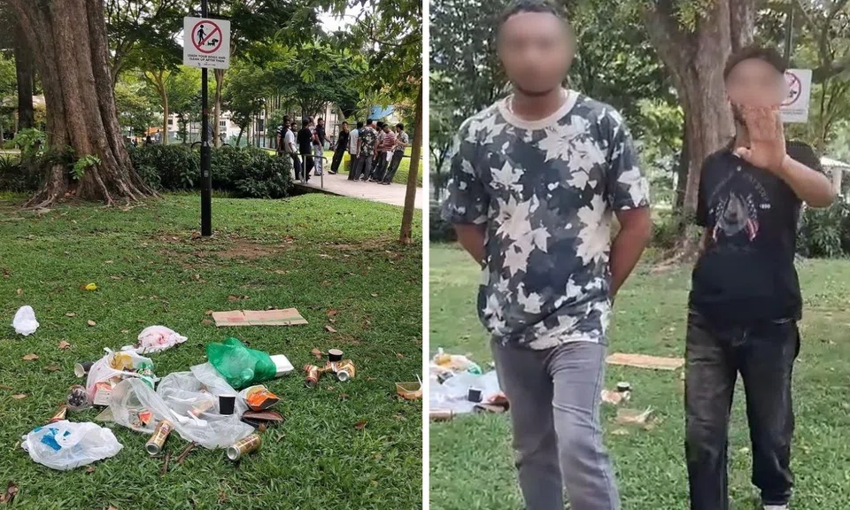 woman confronts group for littering in little india park