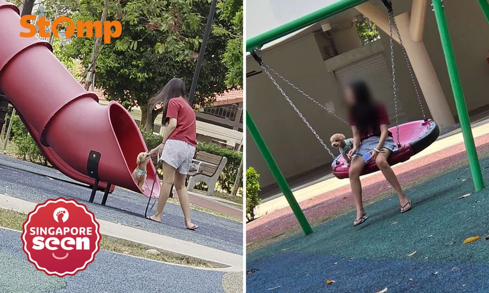 Dog on playground sparks hygiene concerns