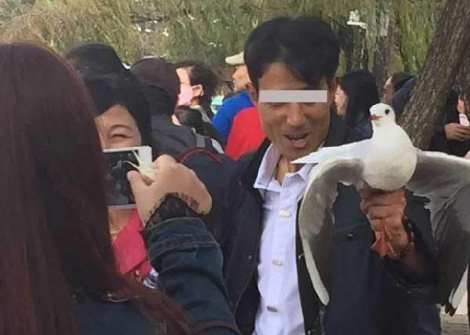 Chinese tourists snatch helpless birds from the skies and clutch onto them for photos