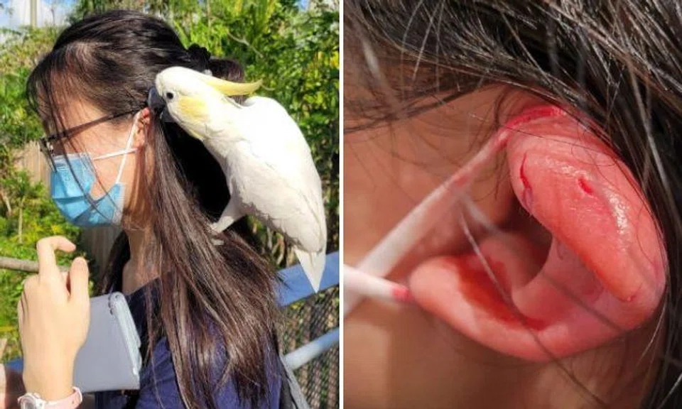 "The bird was biting very fast and I used my middle finger to stop it from biting her."