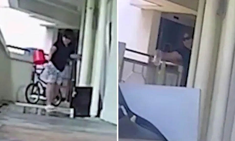 You'll understand why Yishun residents erected 'wall' to keep out neighbour after seeing this video