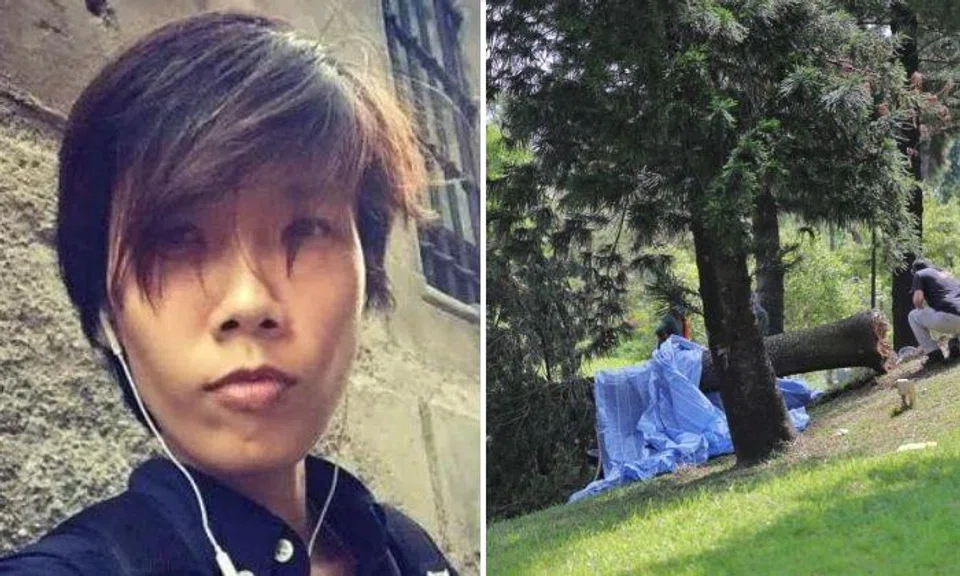Ms Loke Xiao Li died of multiple injuries after a 20m tree fell and pinned her to the ground while she was jogging in the park on the morning of Feb 18, 2021.