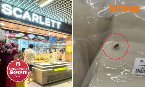 The incident happened on March 17 at Scarlett Supermarket’s Paya Lebar Square outlet.