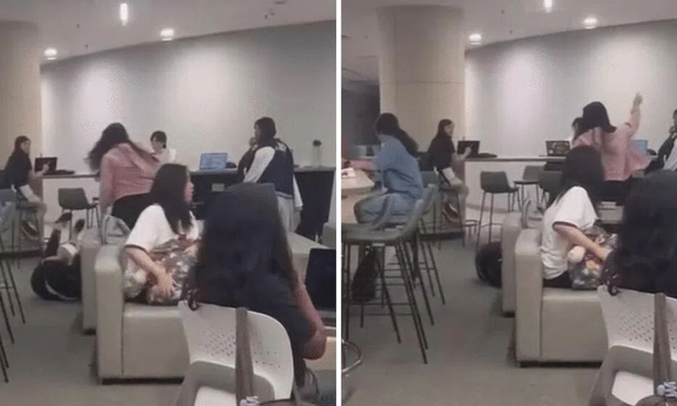 Police investigating after woman seen kicking another woman at SMU campus in viral video