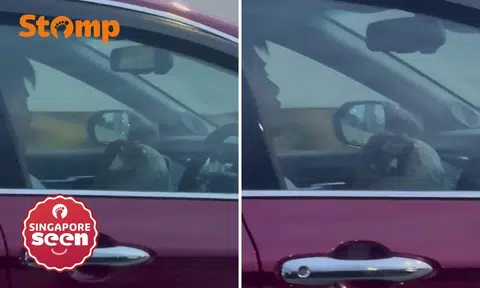 driving and using phone