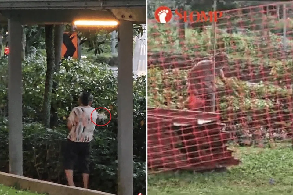 Residents complained that her actions caused an unsanitary environment.