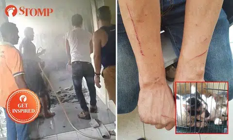 Heroic residents suffer scratches after saving cats from Yishun HDB unit on fire