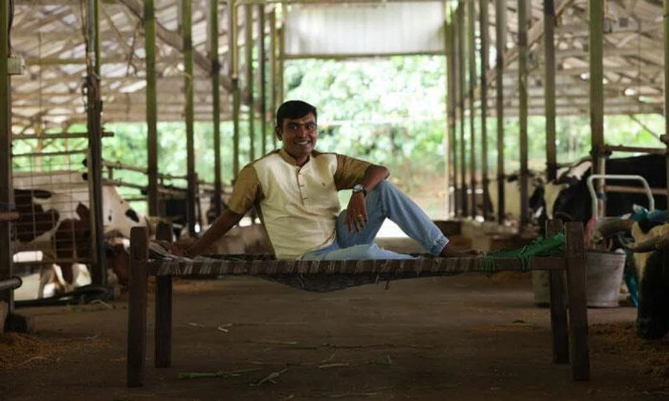 Mr G.S. Viknesh fully manages Viknesh Dairy Farm on the outskirts of Lim Chu Kang. PHOTO: TABLA