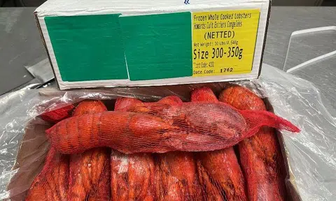 Captain Dan’s Frozen Cooked Wild Caught Cold Water Boston Lobster is imported by Lam Kee Fisheries.