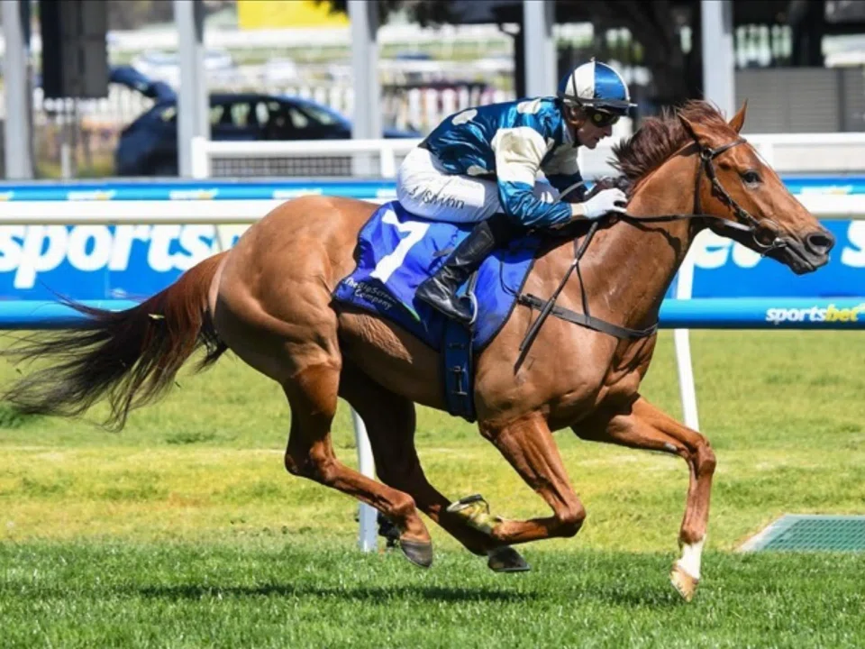 Ciaron Maher's Jimmysstar (Ethan Brown) winning the Group 1 Oakleigh Plate (1,100m) at Caulfield on Feb 22.
