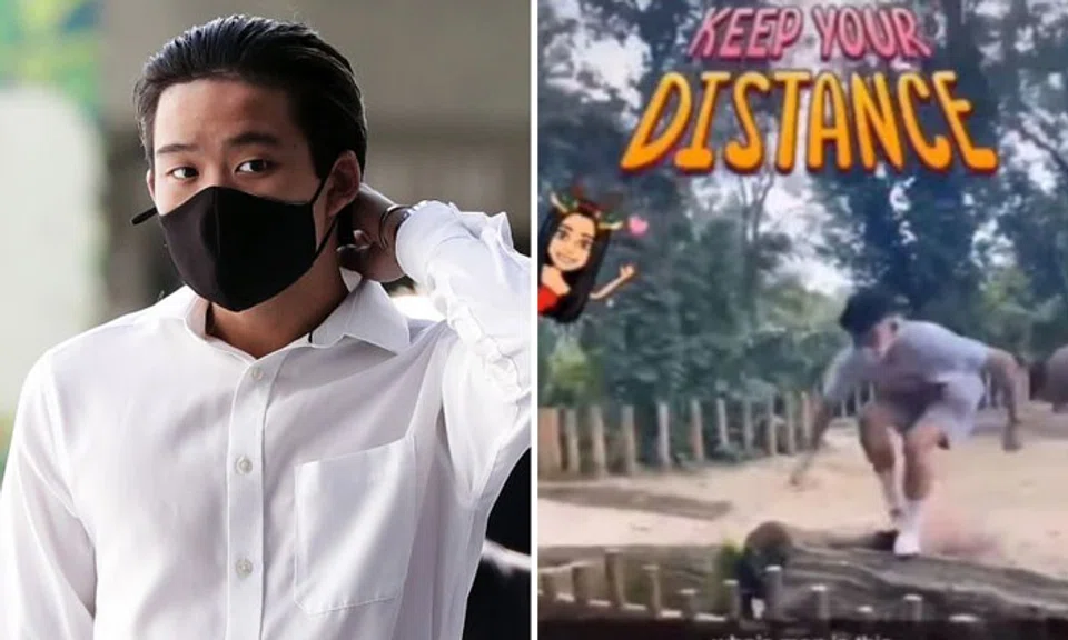 Ralph Wee Yi Kai currently faces six charges - two for mischief as well as one each for vandalism, criminal trespass, animal abuse and drug consumption. PHOTOS: KELVIN CHNG, SCREENGRAB FROM YOUTUBE