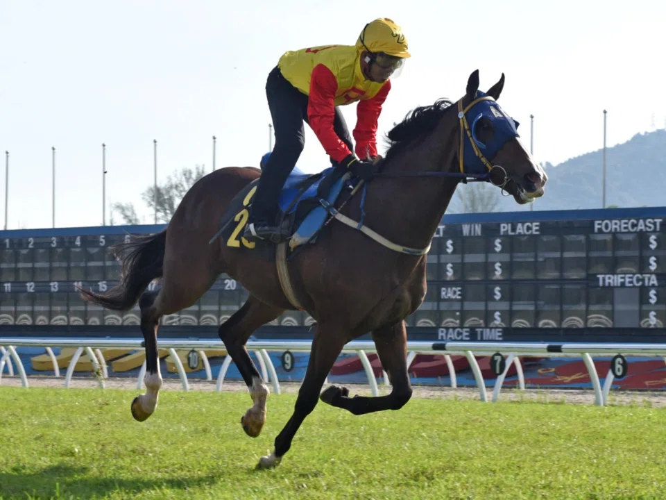 The Ananthen Kuppan-trained Storm Pegasus (Azizi Azhari) strolling in by a comfortable margin in his barrier trial at Sungai Besi on May 14. The two-time winner by Belardo seems to have regained his groove.