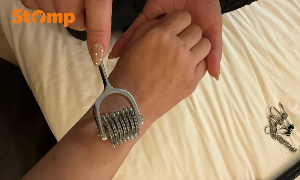 wartenberg wheel used in BDSM