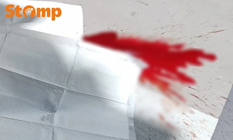 Man who died in Toa Payoh fell while climbing out window during anti-drug ops