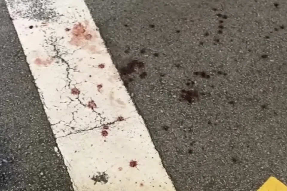 An eyewitness believed the woman was a tourist.