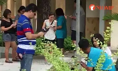 Revival of Pokemon Go? Seems to be the case for these 'enthu' people at Hougang