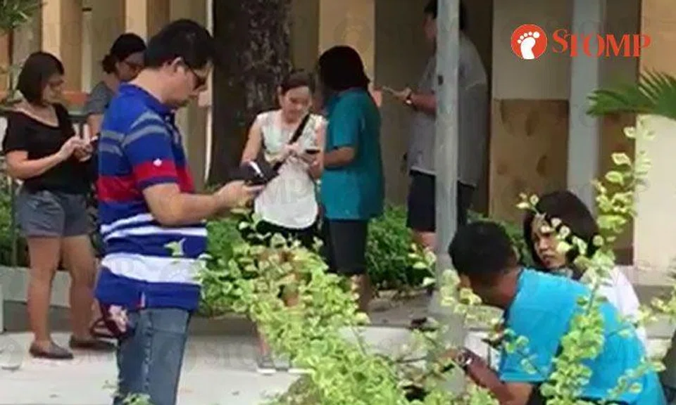Revival of Pokemon Go? Seems to be the case for these 'enthu' people at Hougang