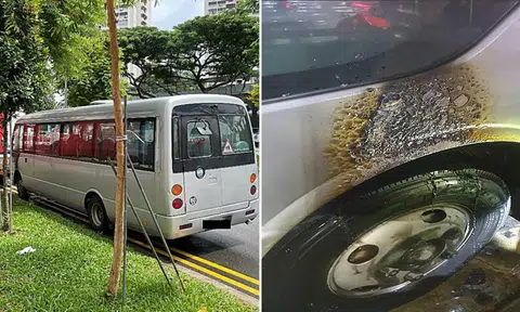 Man accidentally set fire to private bus next to school, gets 3 months' jail