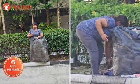 Stomper praises civic-minded woman who sprung into action to clear newspapers off road in Ang Mo Kio
