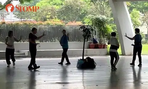 The Stomper shared a video of people were walking intently around a small tree placed in the centre of the pavilion like they were performing a ritual of some kind.