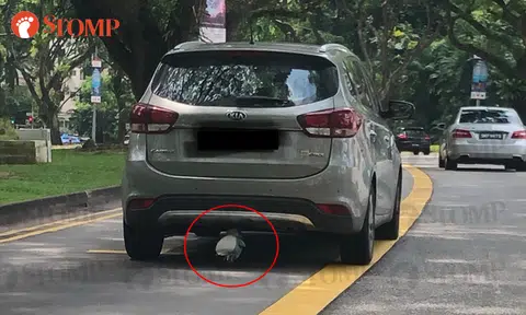 You'll be amused to see what's hitching a ride on this car along Orchard Boulevard